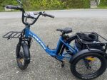 Volt E-Bike 3 Wheeler