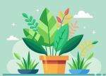 FREE Plants
