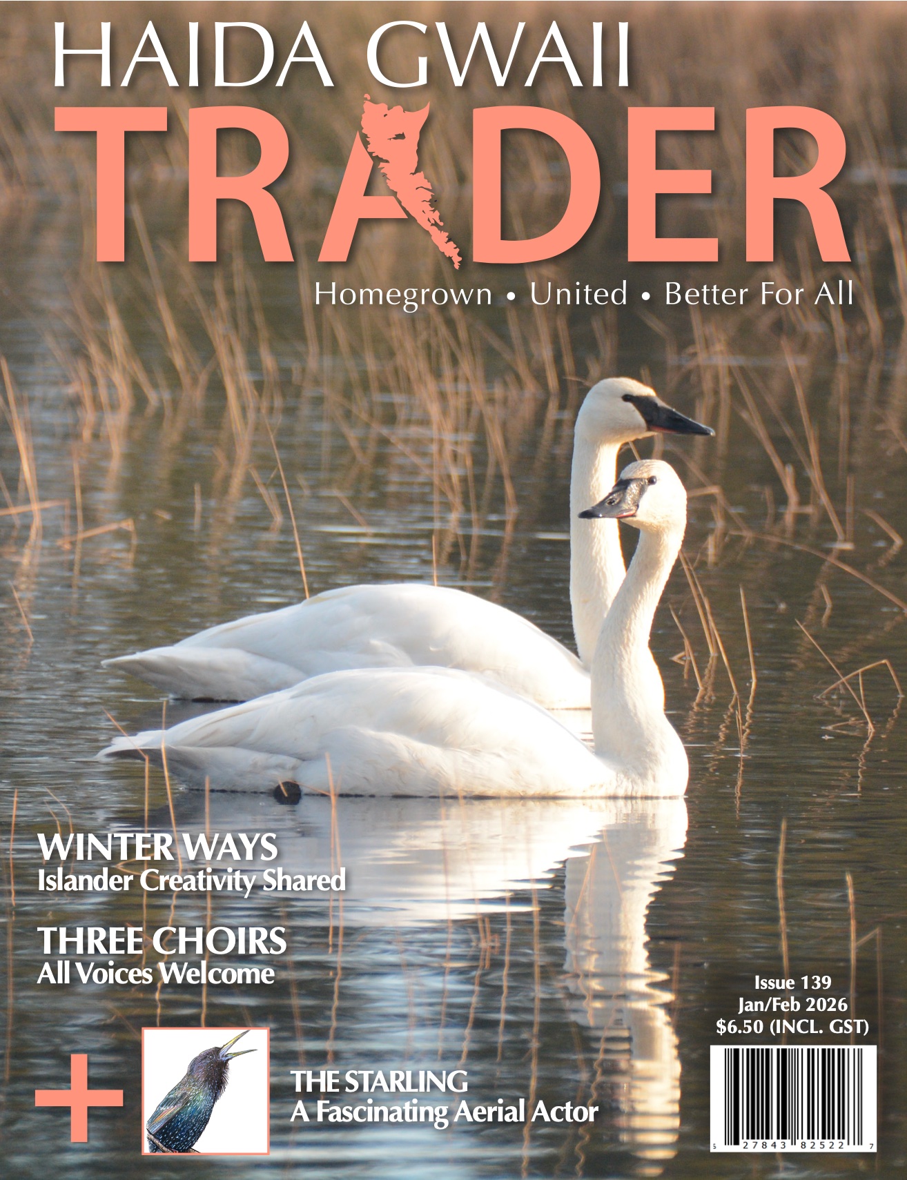 hgt-ezine