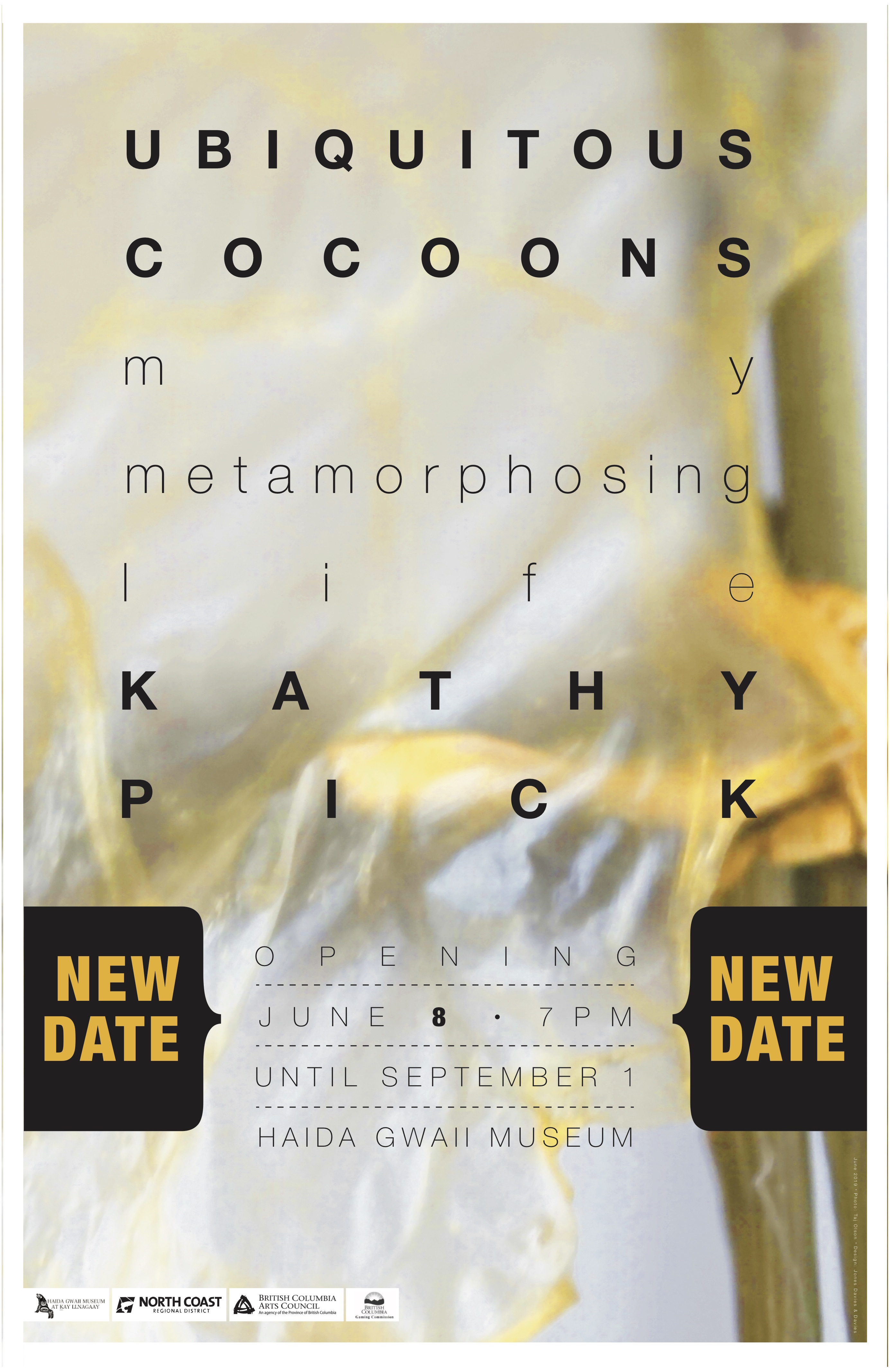 Art Opening: Ubiquitous Cocoons by Kathy Pick