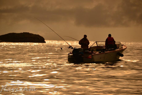 Coho Salmon Derby - Sandspit and Copper Bay