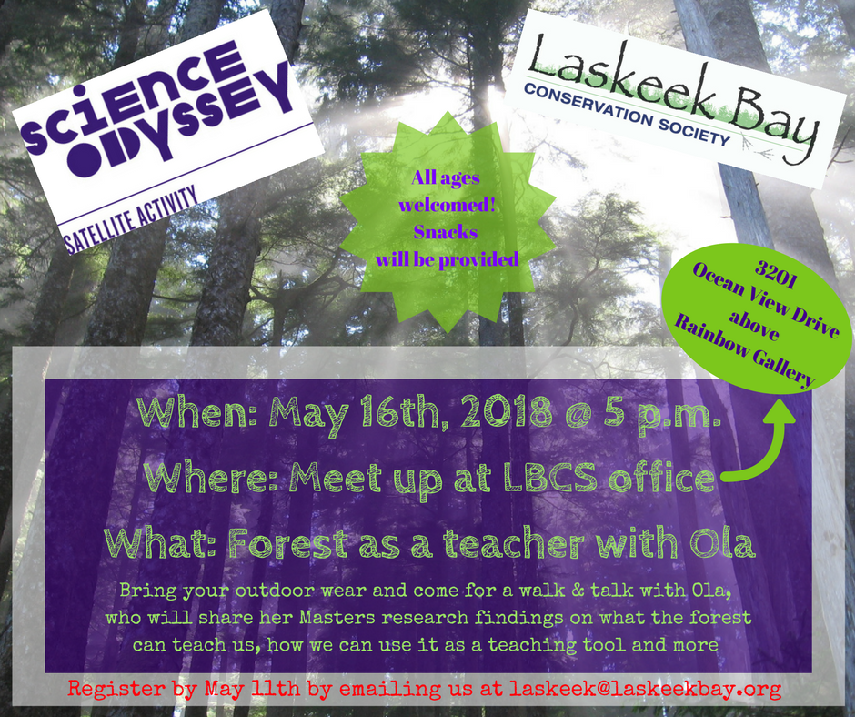 Forest as a teacher: forest walk with Ola