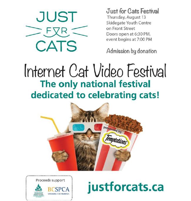 Just for Cats Festival - Haida Gwaii