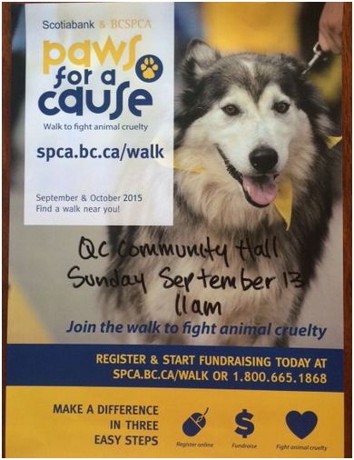 Paws For a Cause Walk 2015