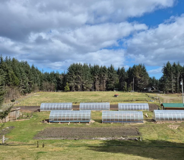 Tl'íi'aal Túuk'aanee | Tl'laal Iinasdll Daanaay (Fireweed Farm) Open House