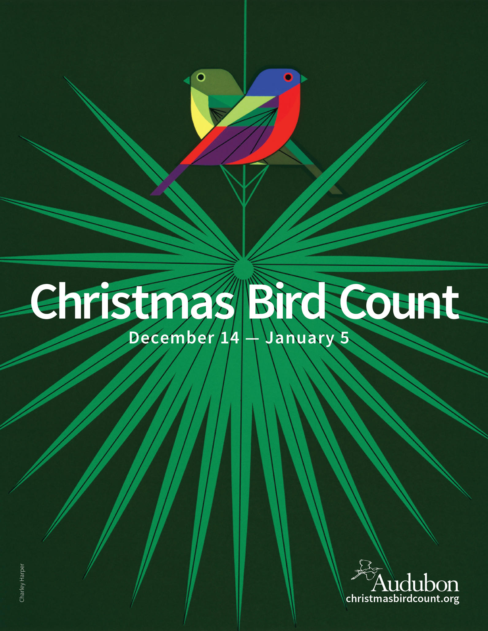 Christmas Bird Count: Greater Masset Area