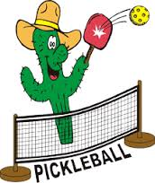 Pickleball Drop-In-QCC